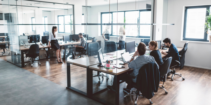 People working in an office, sitting at their desk and walking around.